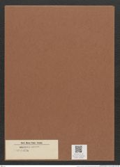 Surirella sp. (de-Toni-Nr.: Genus 53) Zeichnungen Sammlung Grunow Mappe 02583 (Herbarium_W_Grunow_drawings_Folder_02583)